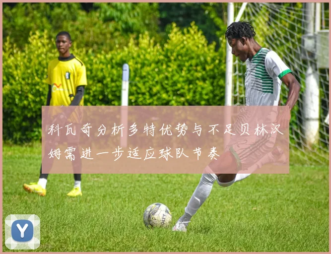 科瓦奇分析多特优势与不足贝林汉姆需进一步适应球队节奏